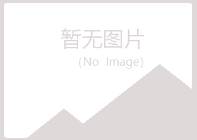 兰山区分心金属有限公司